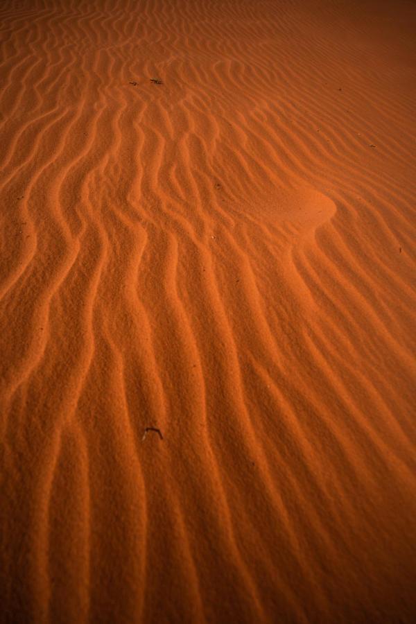 Stars Life Camp-Tour Hotel Wadi Rum Luaran gambar